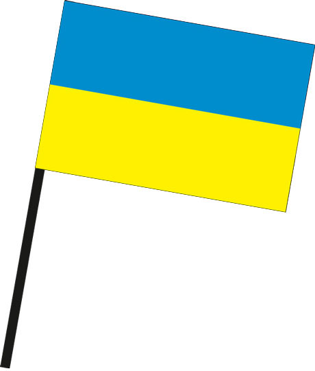 TS24direkt Ukraine Stock Fahne