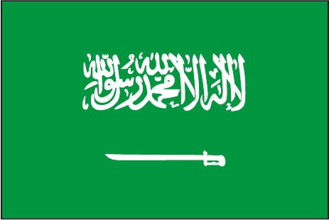 Saudi-Arabien als Fanfahne
